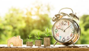 grow your business in puglia